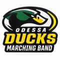 Odessa Ducks Statement Charm