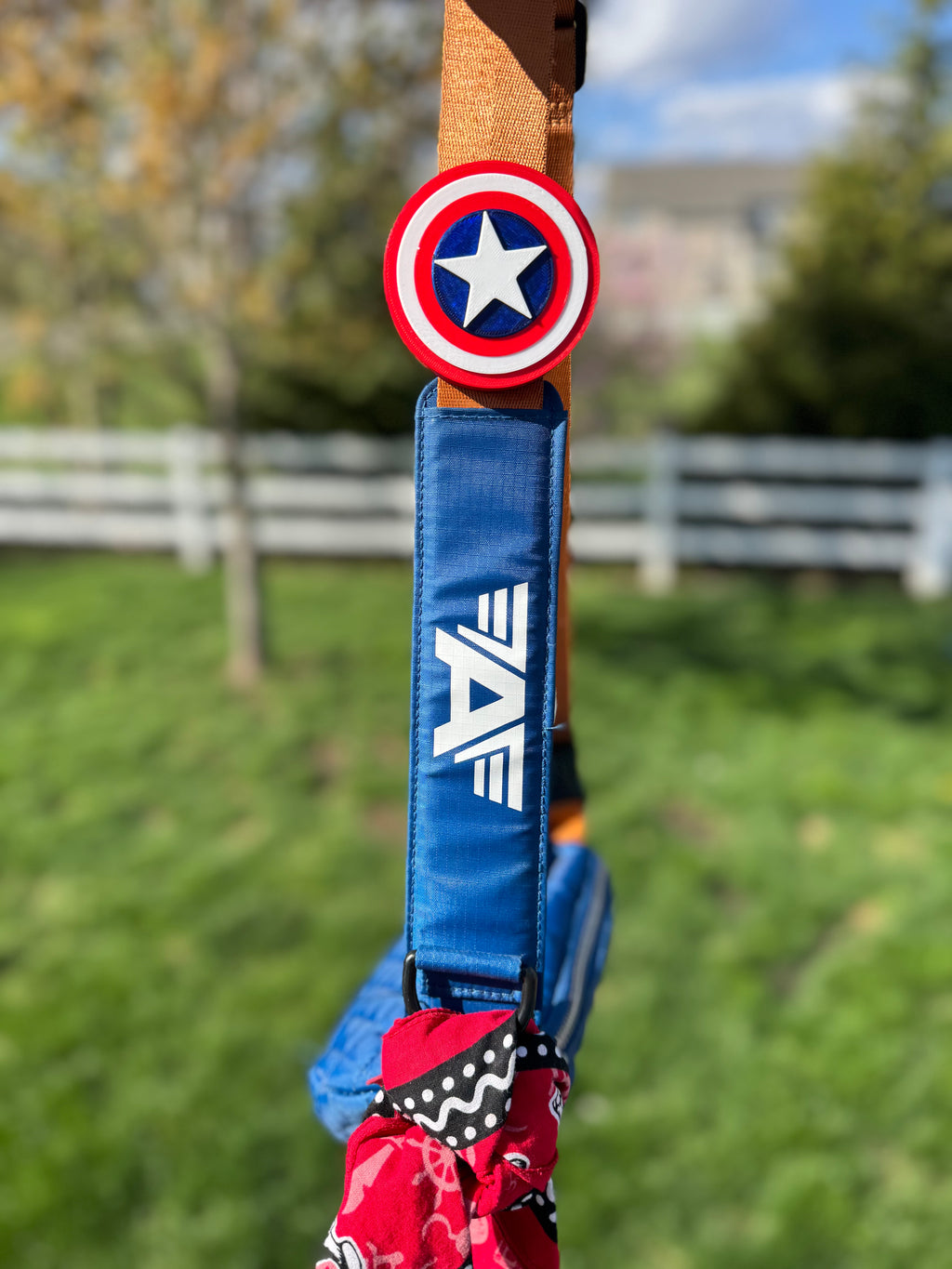 The Shield StatementCharm