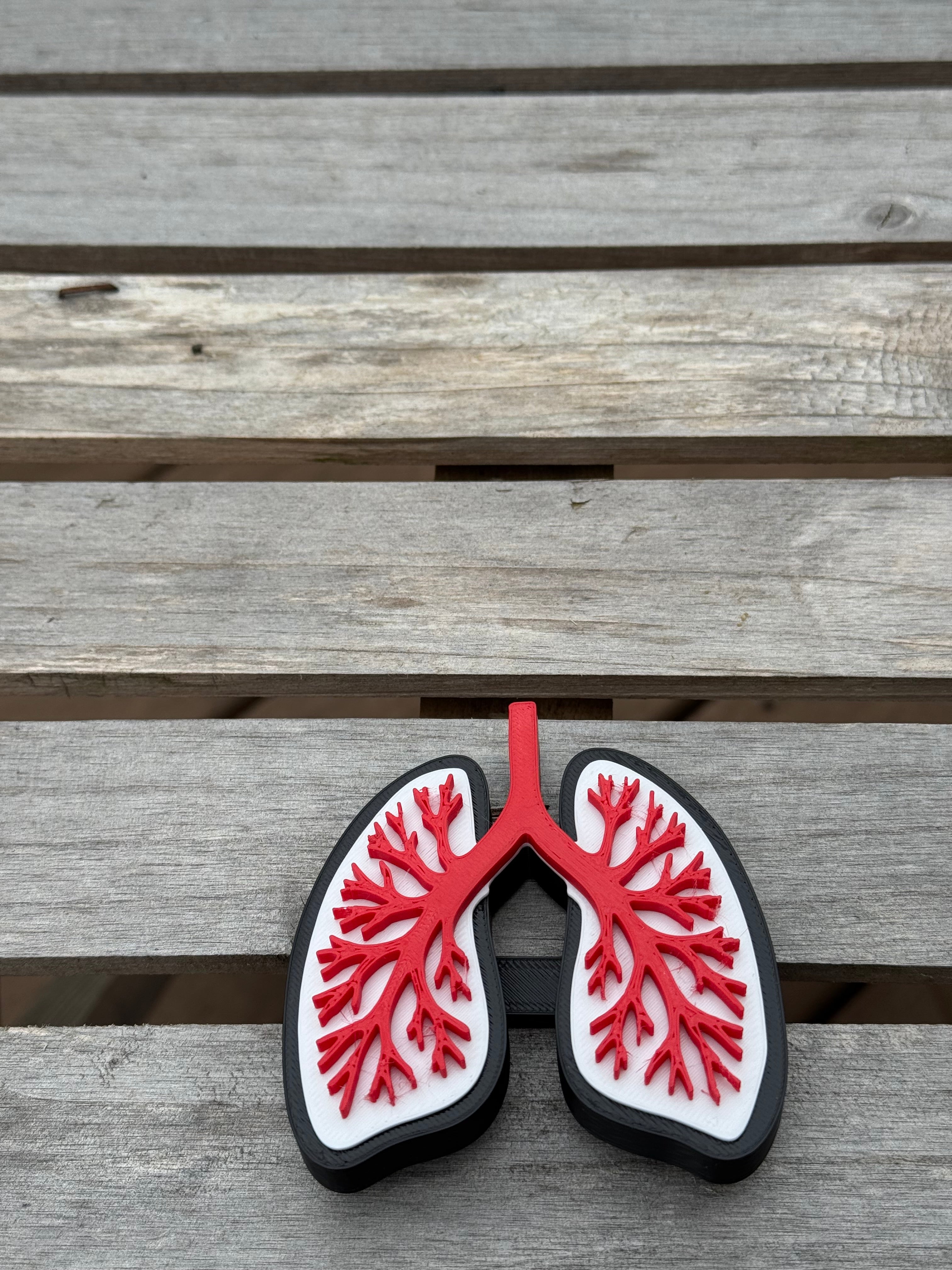 The Lungs Statement Charm