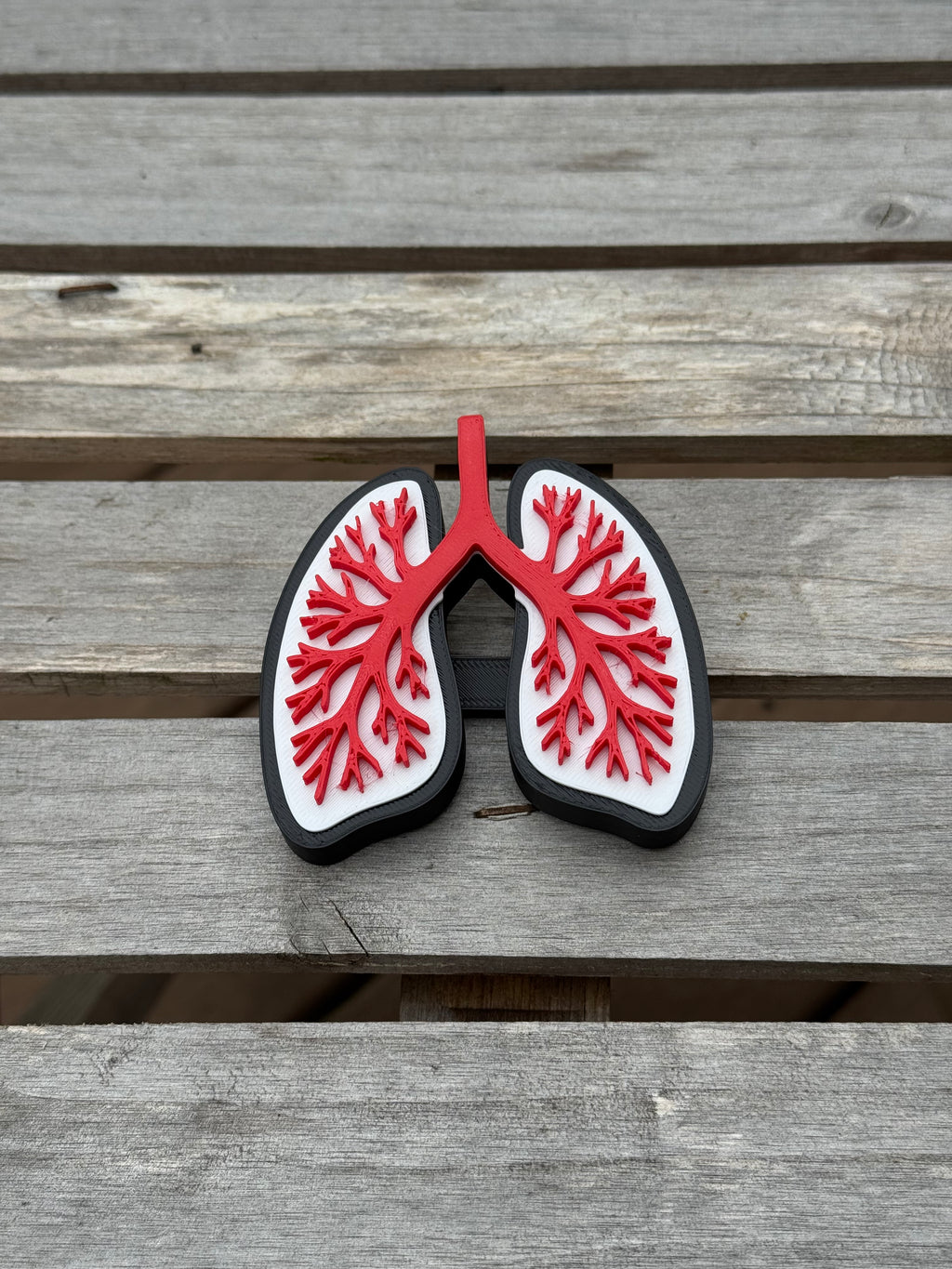 The Lungs Statement Charm
