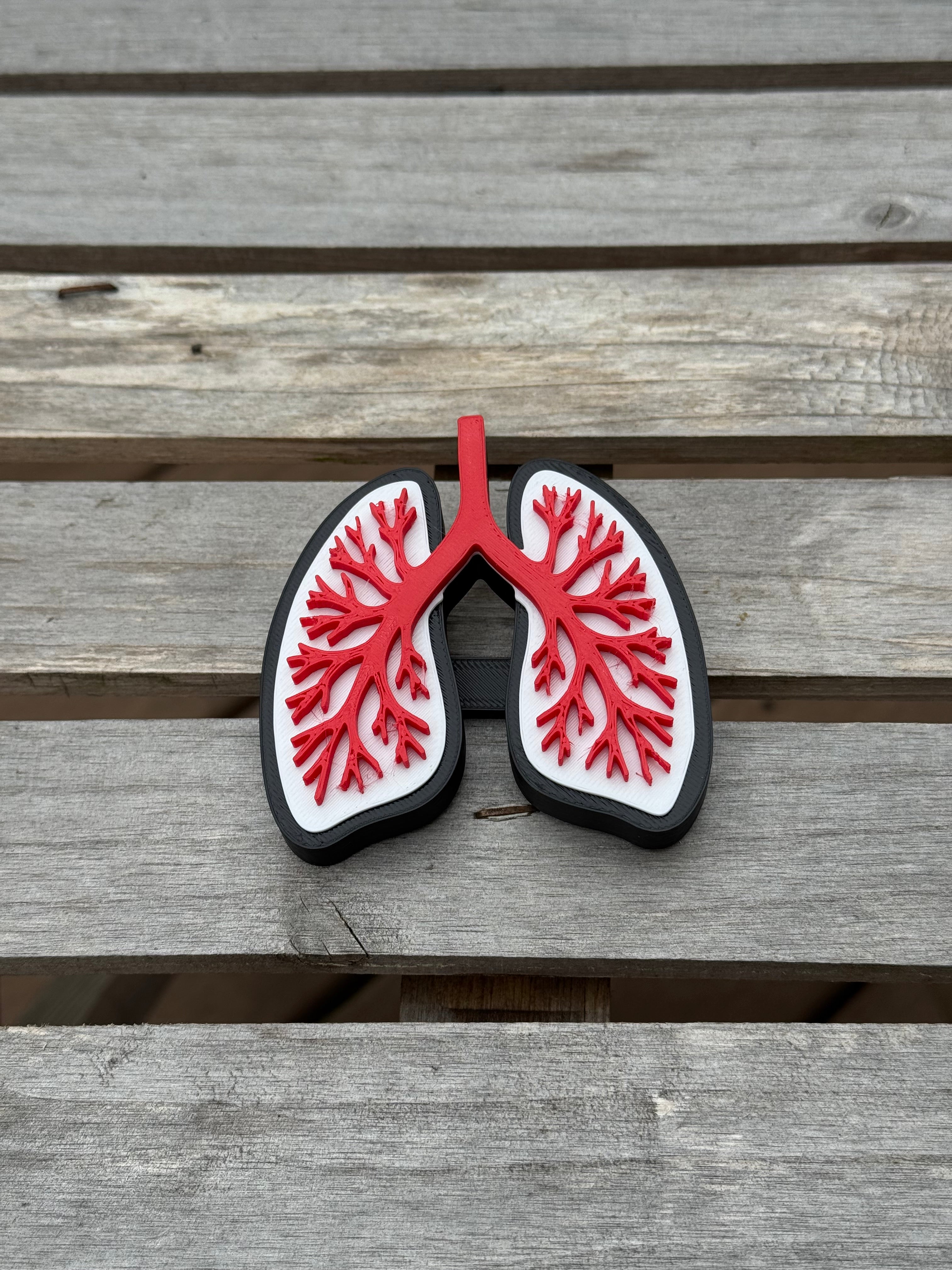 The Lungs Statement Charm